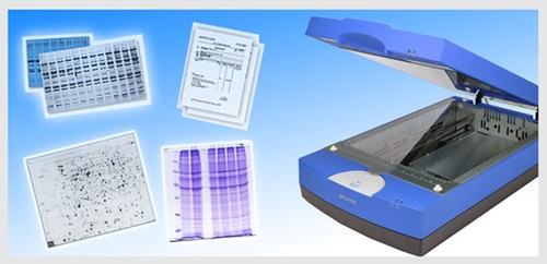 电泳胶扫描仪（中晶Bio-5000plus，Bio-6000） 
